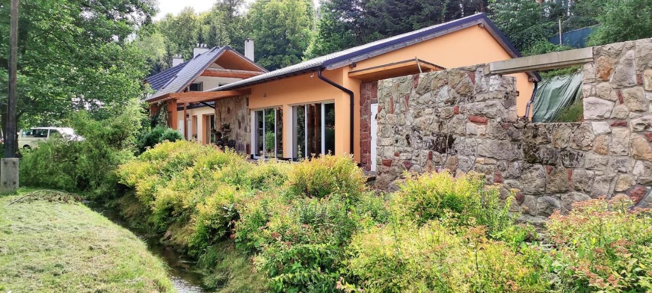 Zielona Roza Villa Вамбйежице Екстериор снимка