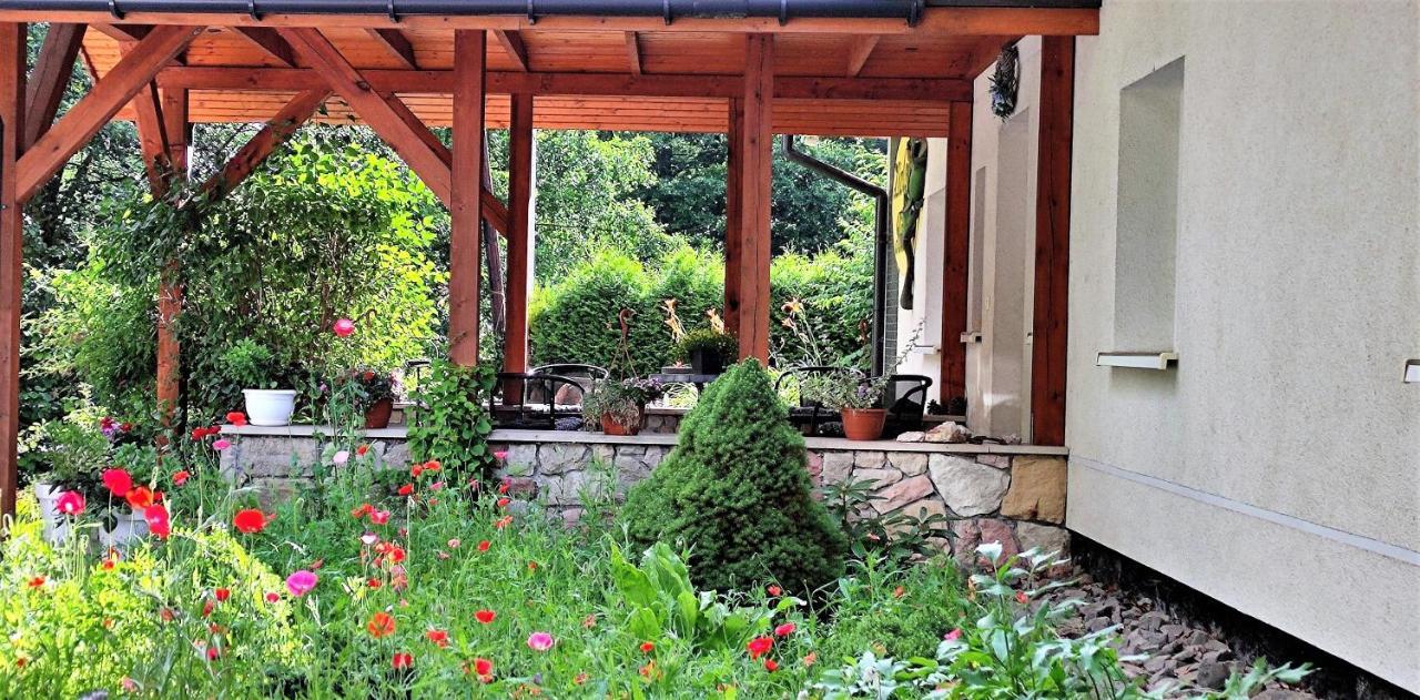 Zielona Roza Villa Вамбйежице Екстериор снимка
